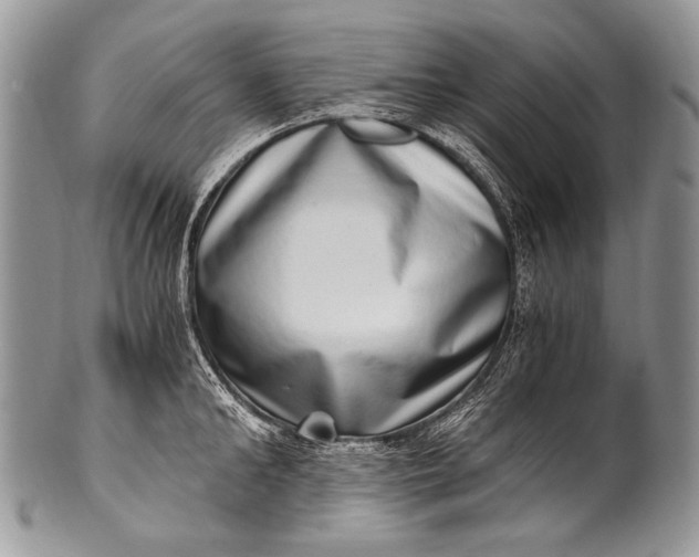 X0000100400902200806201733
