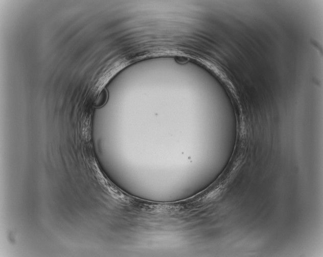 X0000100400905200806201733