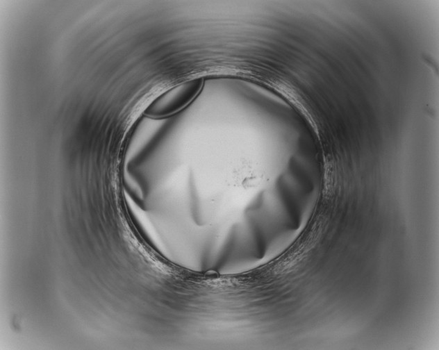 X0000100400906200806201733