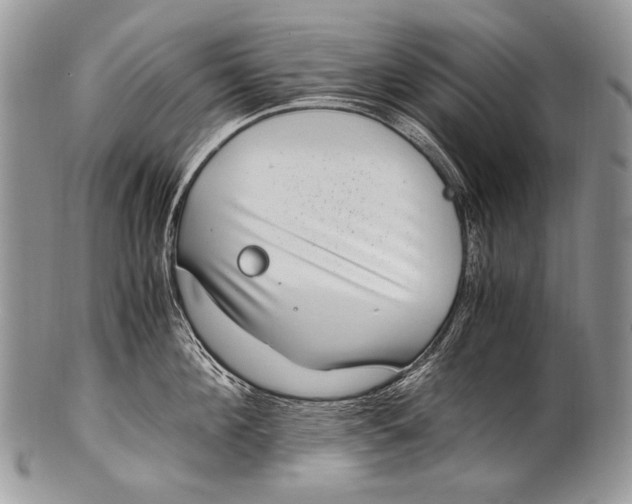 X0000100400908200806201733