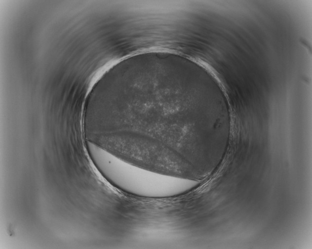 X0000100400910200806201733