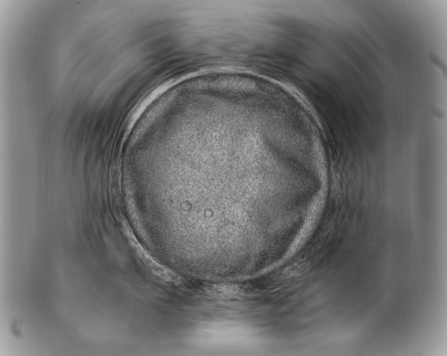 X0000100400911200806201733