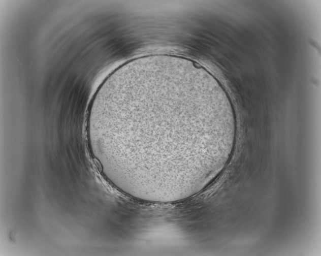 X0000100400912200806201733