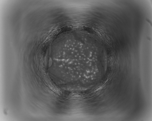 X0000100400913200806201732
