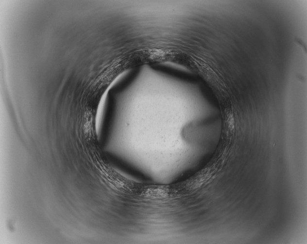 X0000100400914200806201732
