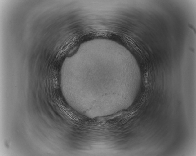 X0000100400916200806201732