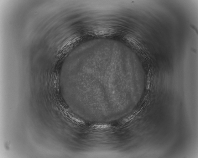 X0000100400917200806201732