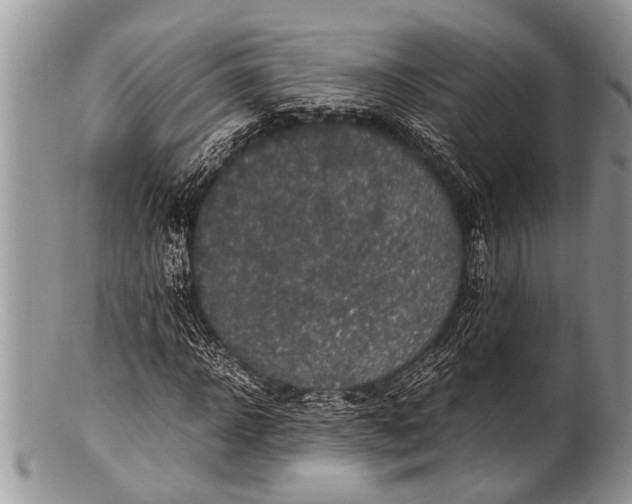 X0000100400918200806201732