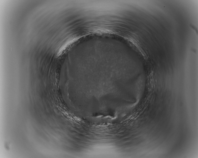 X0000100400919200806201732