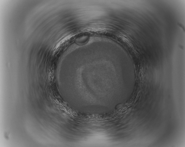 X0000100400920200806201732