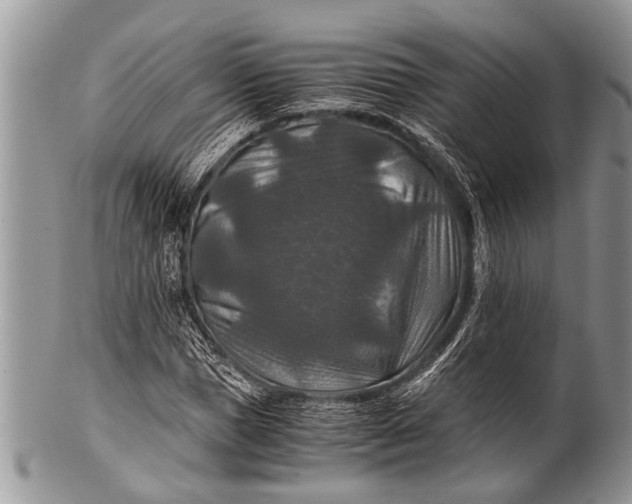X0000100400921200806201732