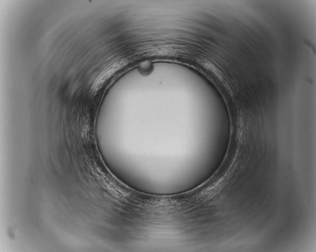 X0000100400922200806201732