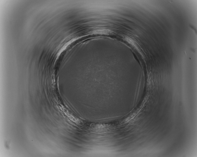 X0000100400923200806201732