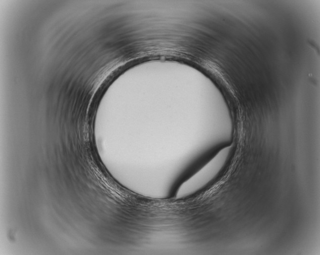 X0000100400924200806201732