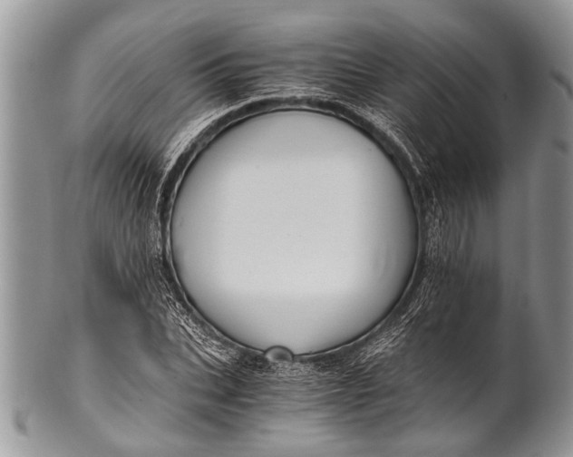 X0000100400927200806201733