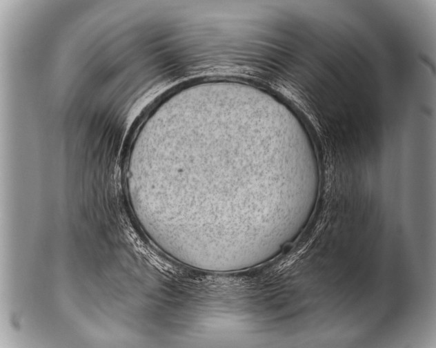 X0000100400928200806201733
