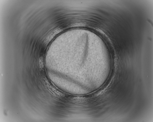 X0000100400929200806201733