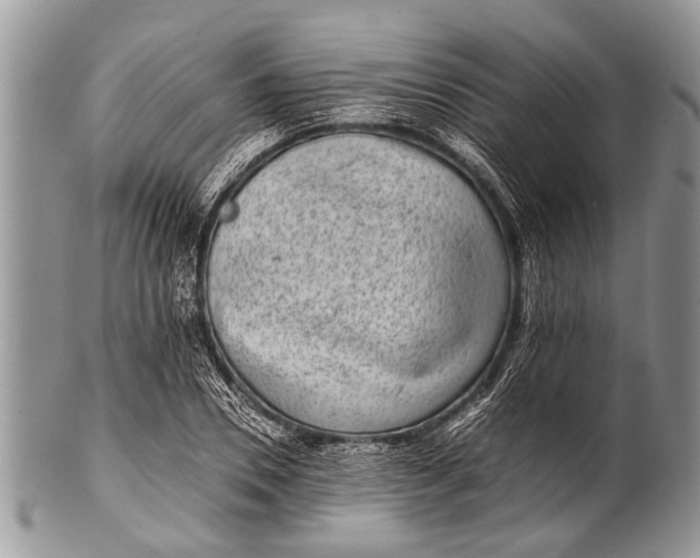 X0000100400930200806201733
