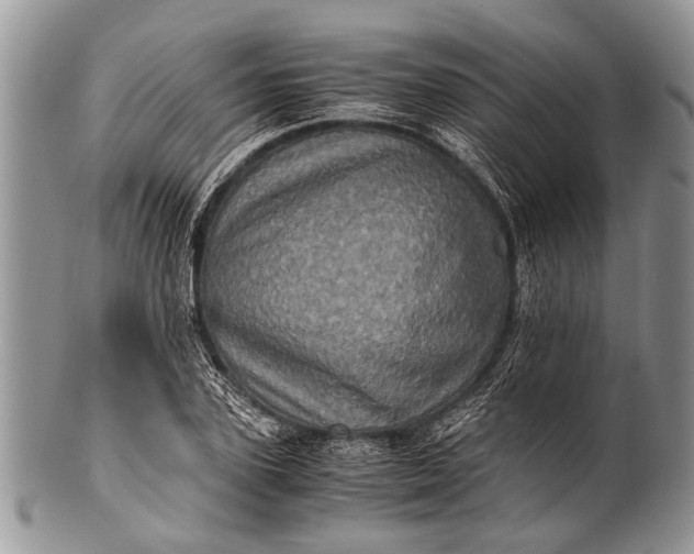 X0000100400931200806201733
