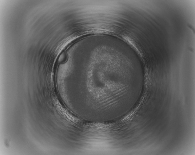 X0000100400932200806201733
