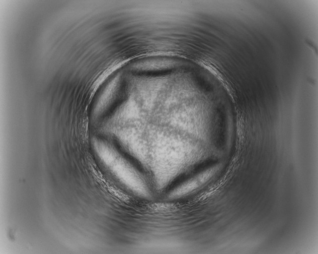 X0000100400933200806201733