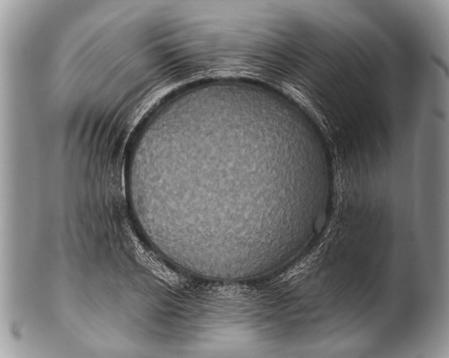X0000100400934200806201733