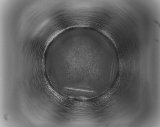 X0000100400935200806201733