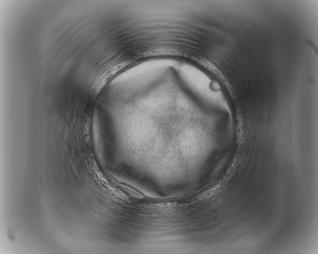 X0000100400937200806201733