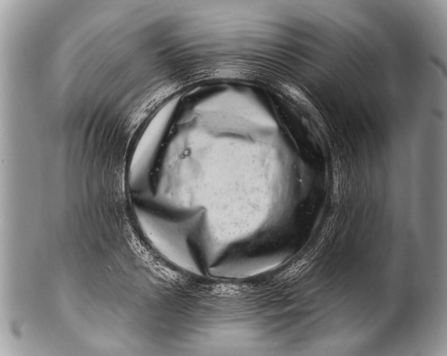 X0000100400938200806201733