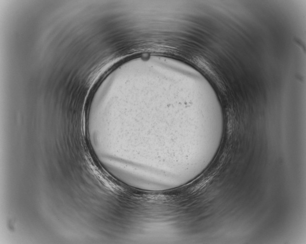 X0000100400940200806201733
