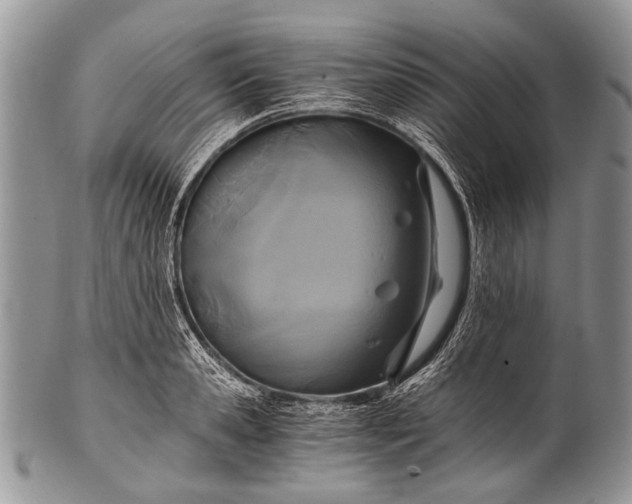 X0000100400941200806201733