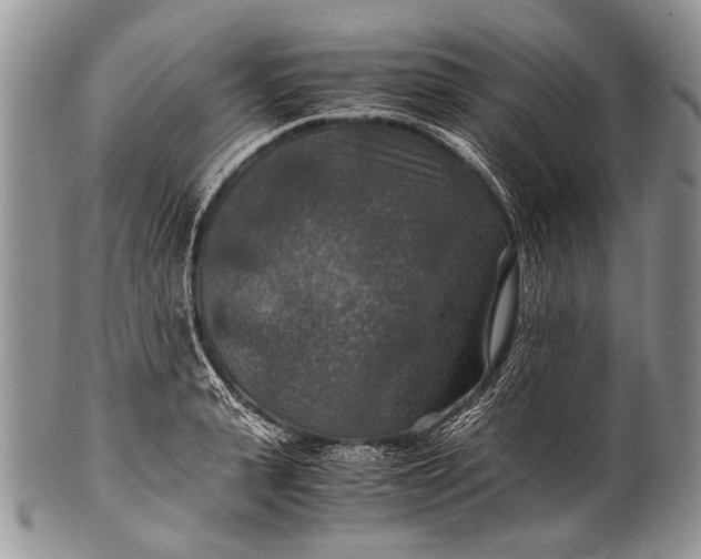 X0000100400943200806201733