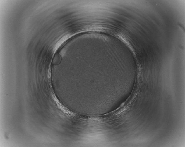 X0000100400944200806201733
