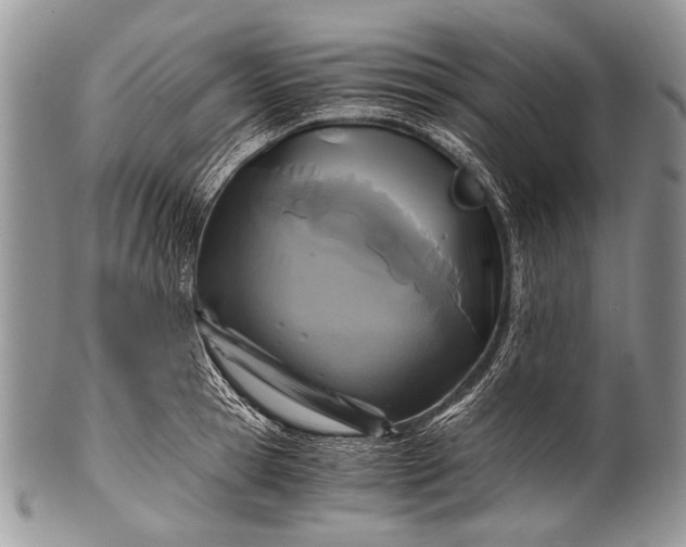 X0000100400945200806201733