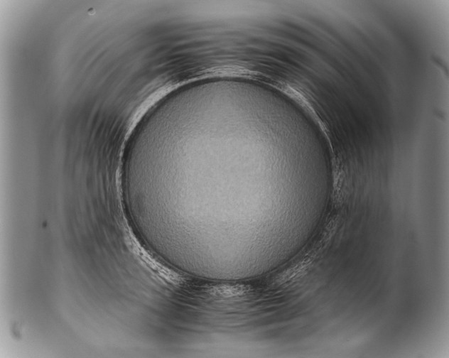 X0000100400947200806201733