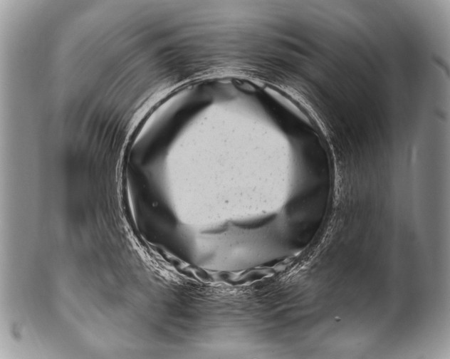 X0000100400949200806201733
