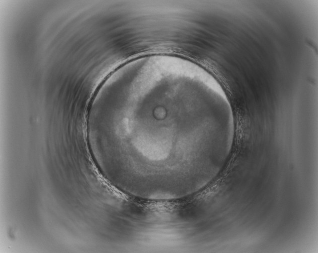 X0000100400950200806201733