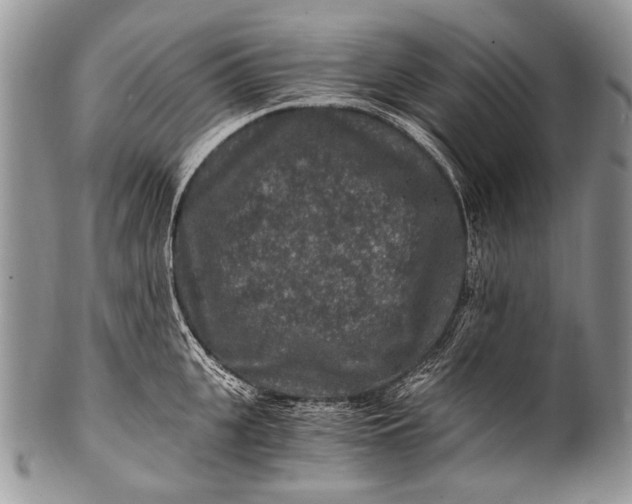 X0000100400951200806201733