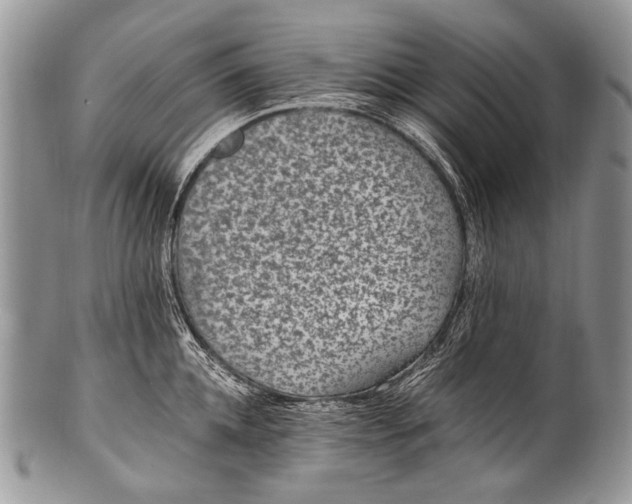 X0000100400952200806201733