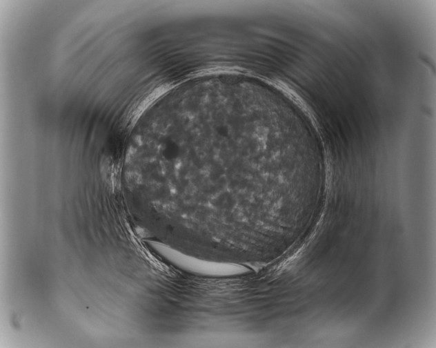 X0000100400953200806201733