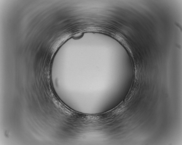 X0000100400954200806201733