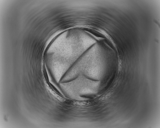 X0000100400955200806201733