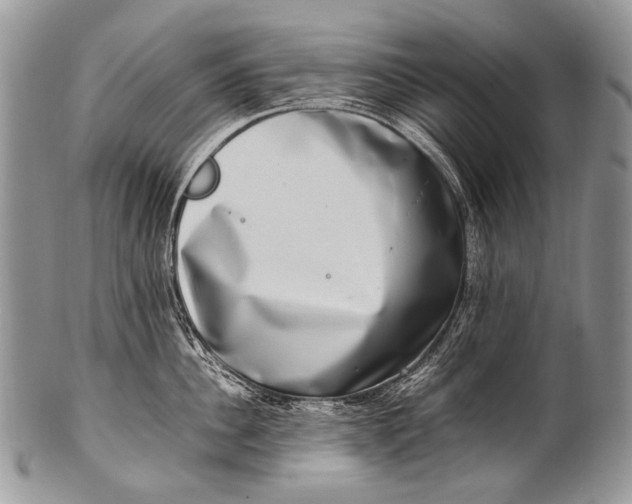X0000100400956200806201733