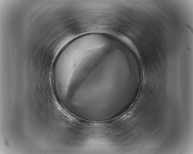 X0000100400958200806201733