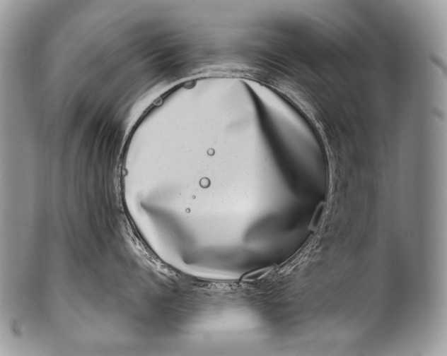 X0000100400960200806201733