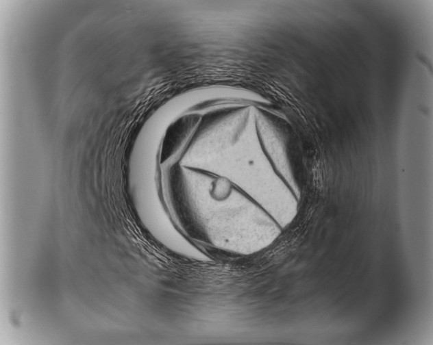 X0000100400961200806201732