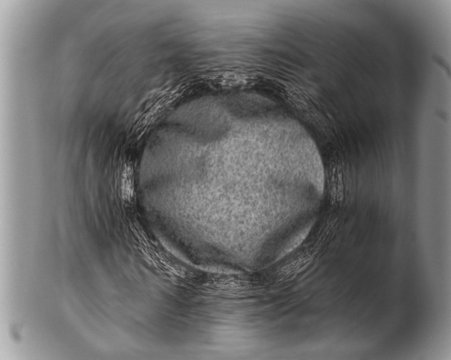 X0000100400962200806201732