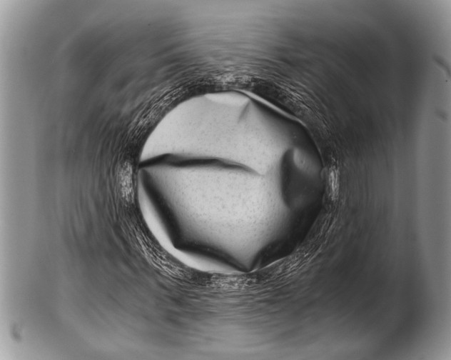 X0000100400963200806201732