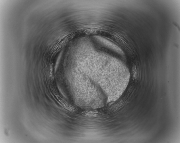 X0000100400964200806201732