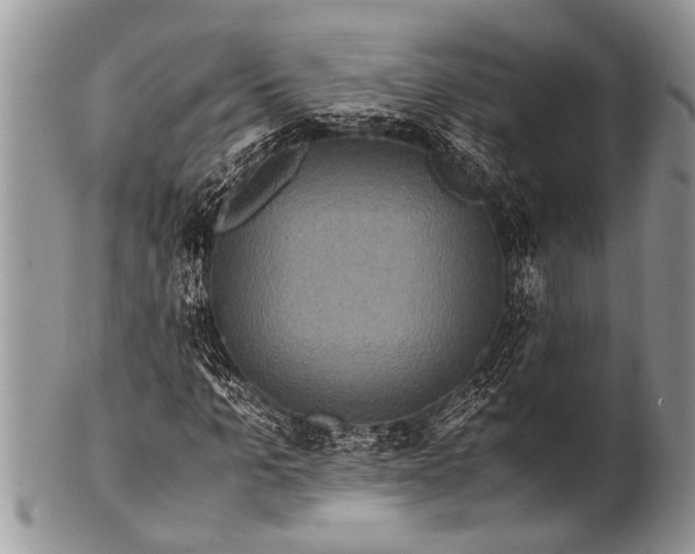 X0000100400965200806201732